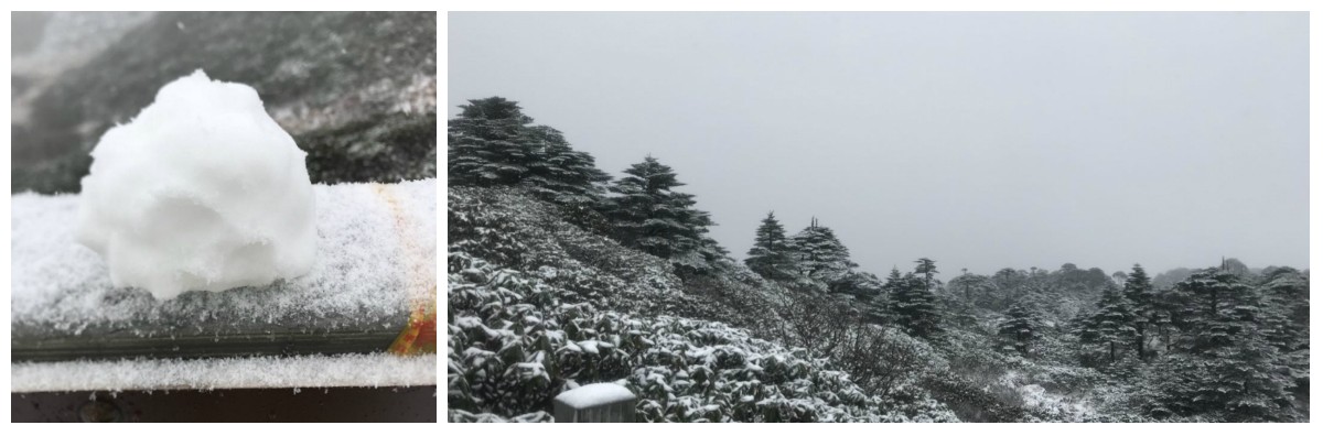 風(fēng)花雪月瑞方情，萬水千山大理行 第6張