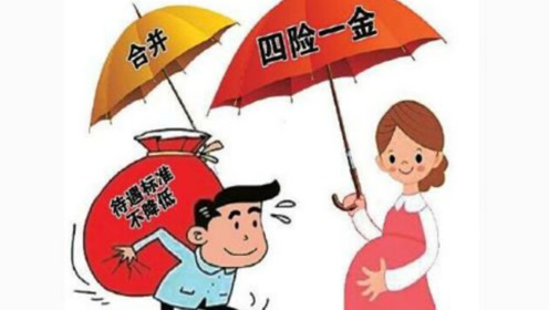 取消生育險(xiǎn)了嗎？ 第1張